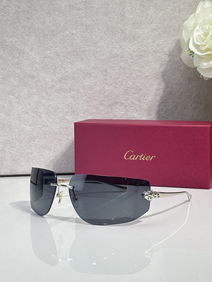 Cartier Sunglasses AAAA-13785