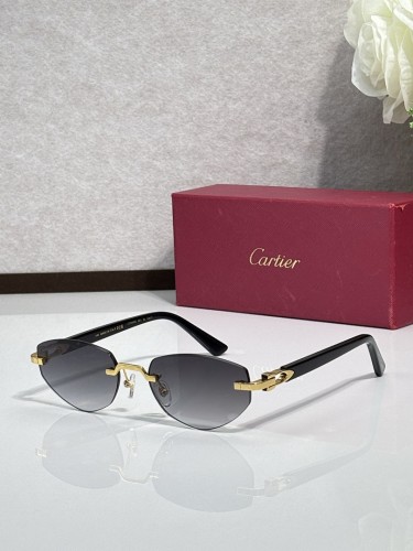 Cartier Sunglasses AAAA-13212