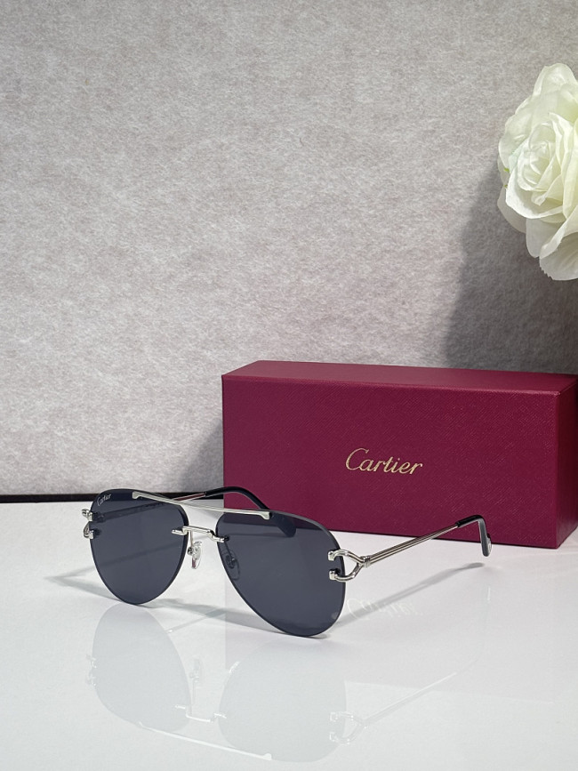 Cartier Sunglasses AAAA-13640