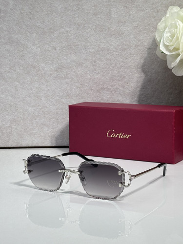 Cartier Sunglasses AAAA-14508