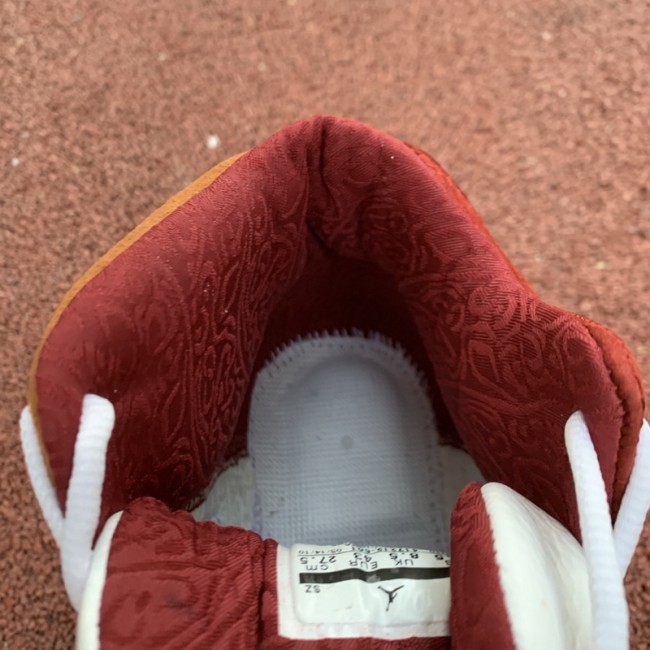 Authentic Air Jordan 13 “BIN 23” Premio