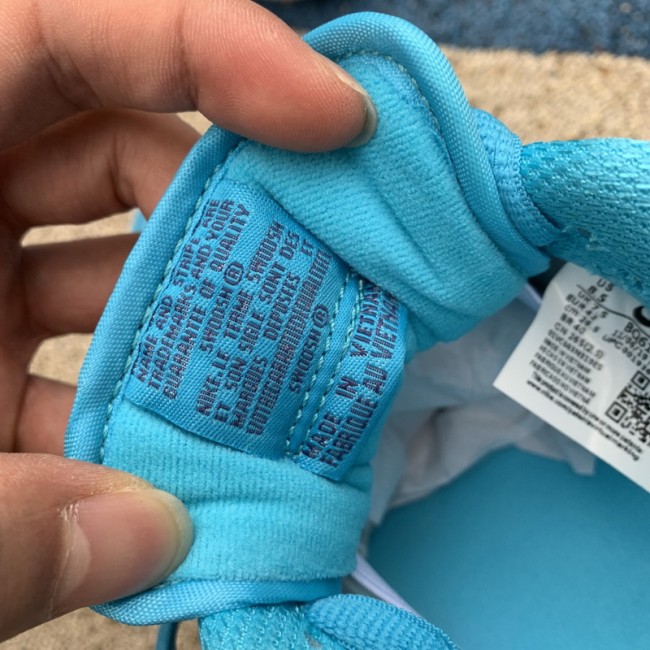 Authentic Nike Dunk SB Low “Blue Fury”