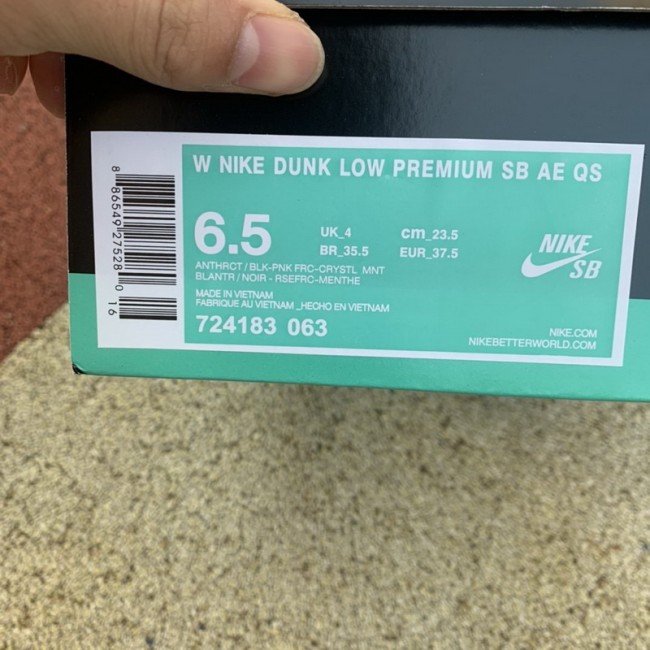 Nike Dunk SB Low Premier Northern Lights