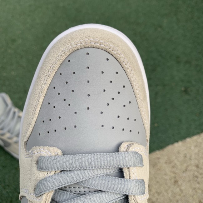 Authentic Nike Dunk SB Low TRD AR0778-110