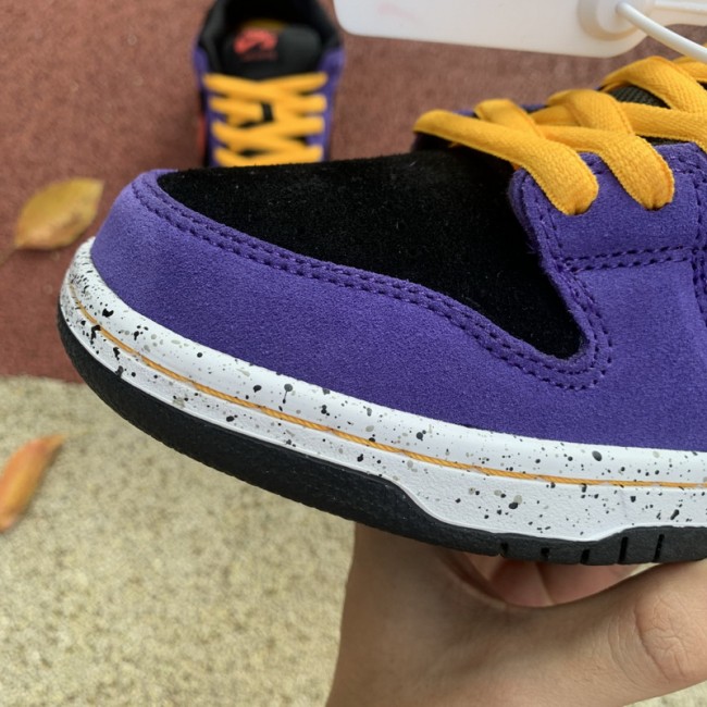 Authentic Nike SB Dunk Low “ACG”