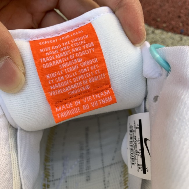 Nike SB Dunk Low PRO ISO