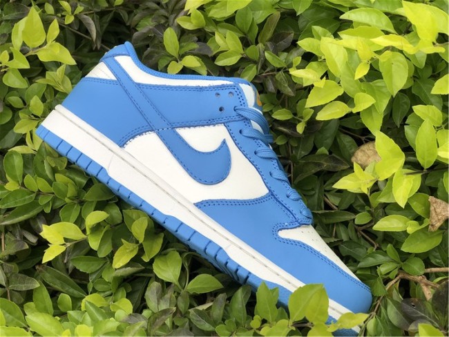 Nike Dunk Low Coast