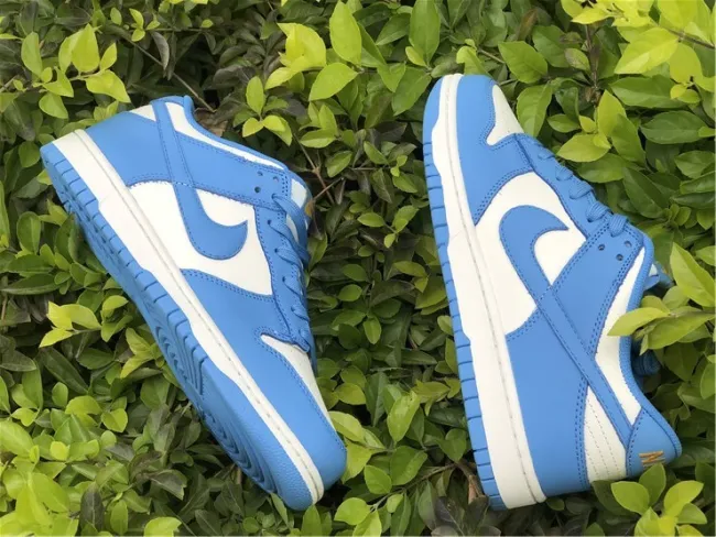 Nike Dunk Low Coast