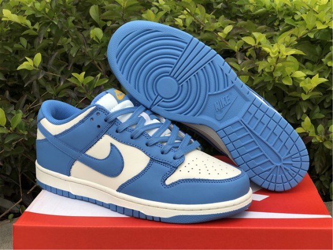 Nike Dunk Low Coast