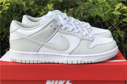 Nike Dunk Low Photon Dust