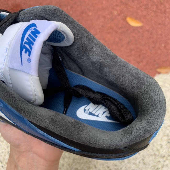 Nike Dunk Low Shoes