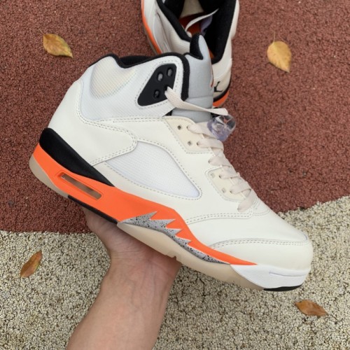 Air Jordan 5 Retro Shattered Backboard