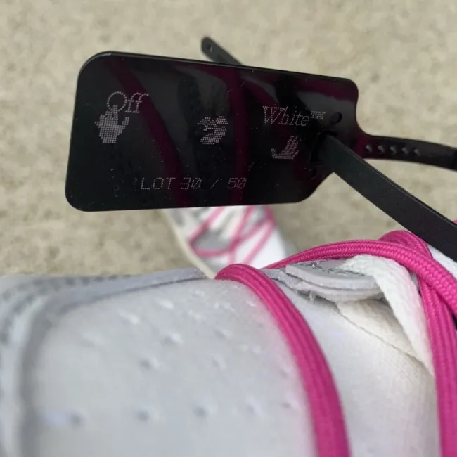Off-White™ x Nike SB Dunk Low The30