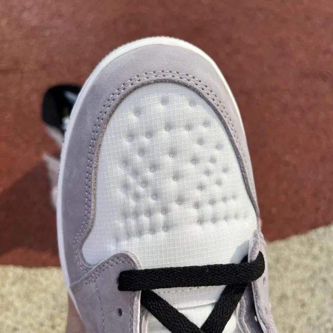 Air Jordan 1 Retro Element Gore-Tex Light Bone