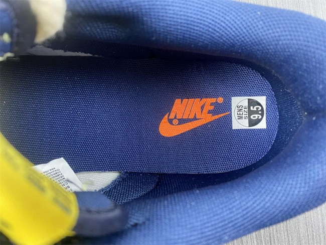 Nike Dunk Low Shoes