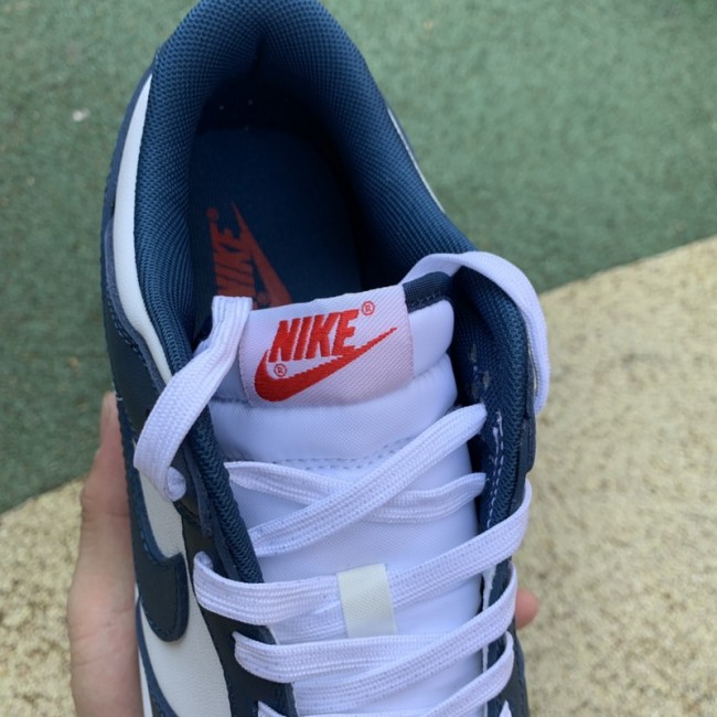 Nike Dunk Low Valerian Blue
