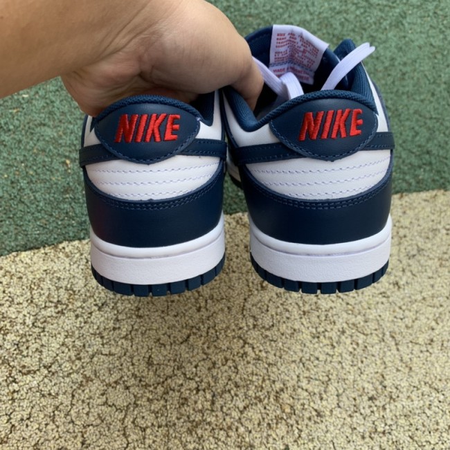 Nike Dunk Low Valerian Blue