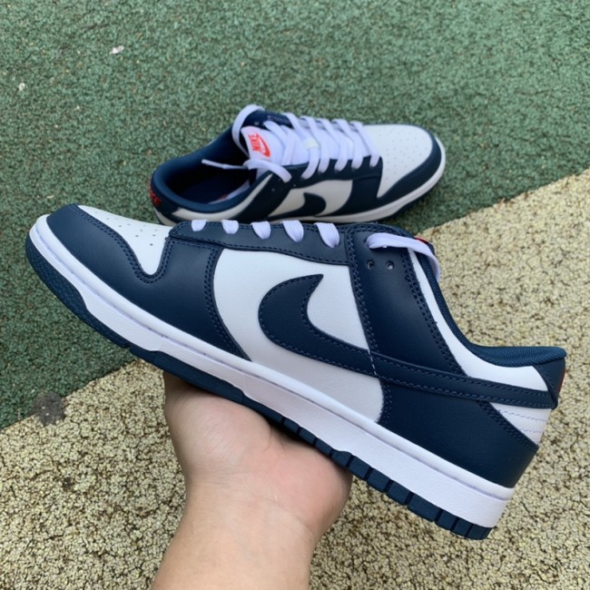 Nike Dunk Low Valerian Blue