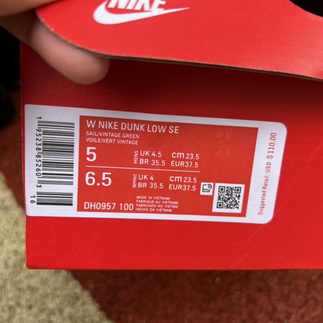 Nike Dunk Low Shoes