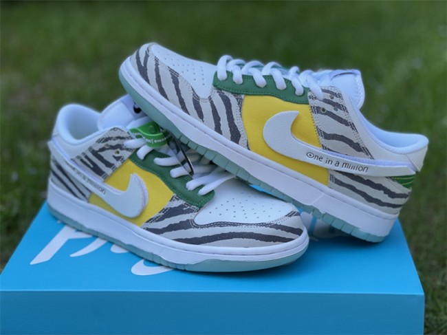 Nike Dunk Low Doernbecher Zoe