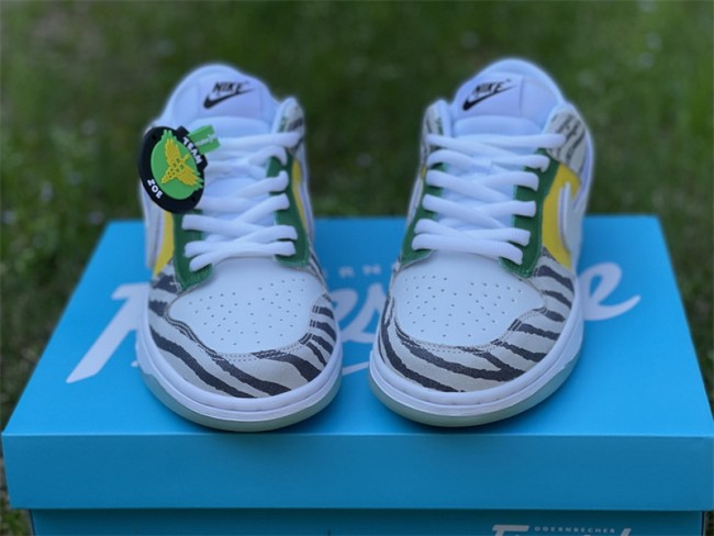 Nike Dunk Low Doernbecher Zoe