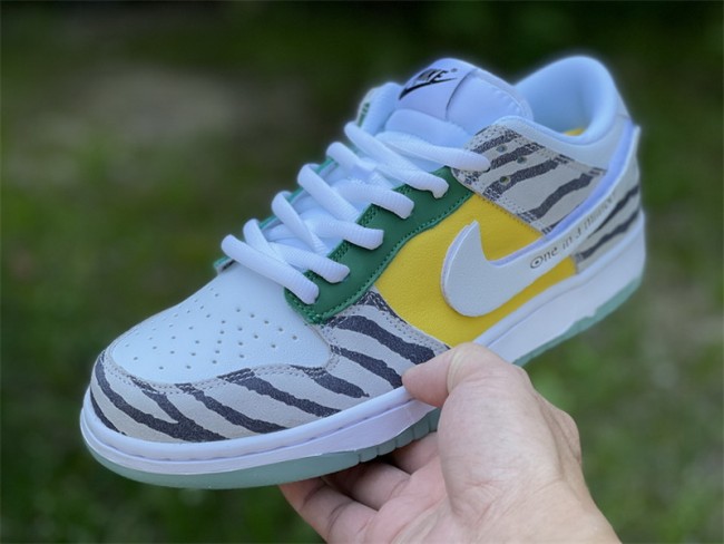 Nike Dunk Low Doernbecher Zoe