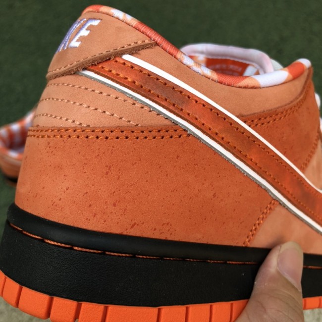 Nike SB Dunk Low Concepts Orange Lobster
