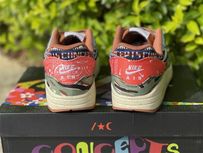 Nike Air Max 1 SP Concepts Heavy