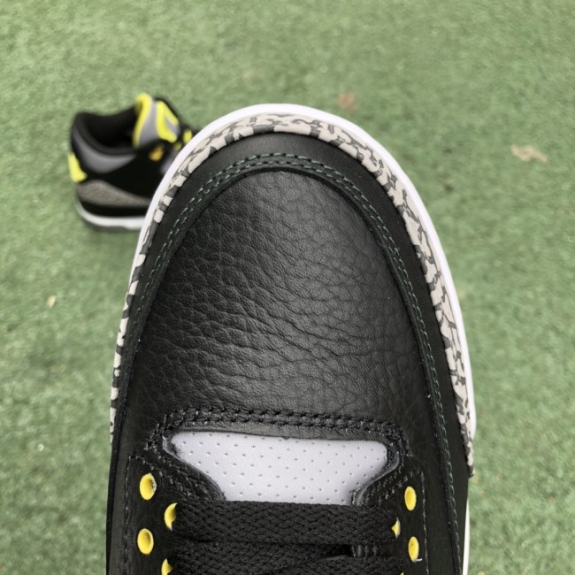 Air Jordan 3 Retro Oregon Ducks Pit Crew (Both Pairs)