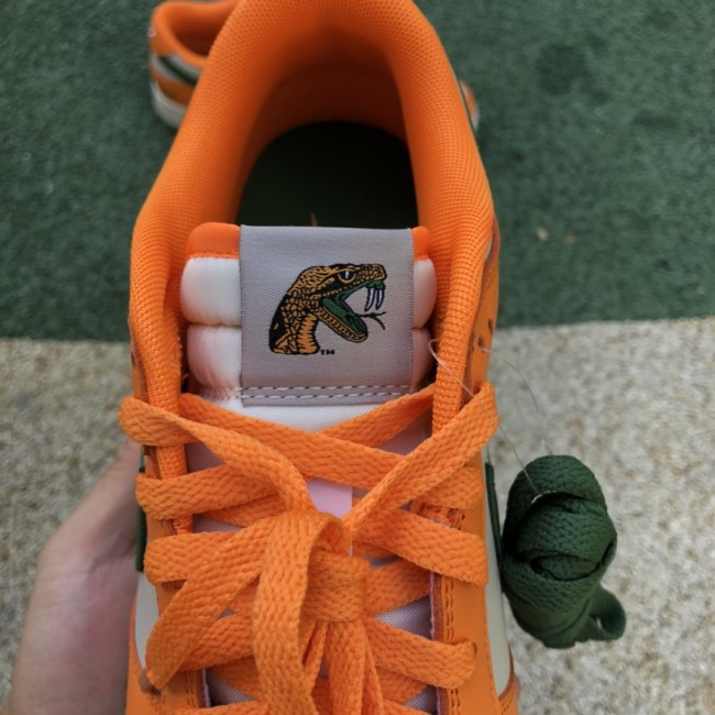 Florida A&M x Nike Dunk Low