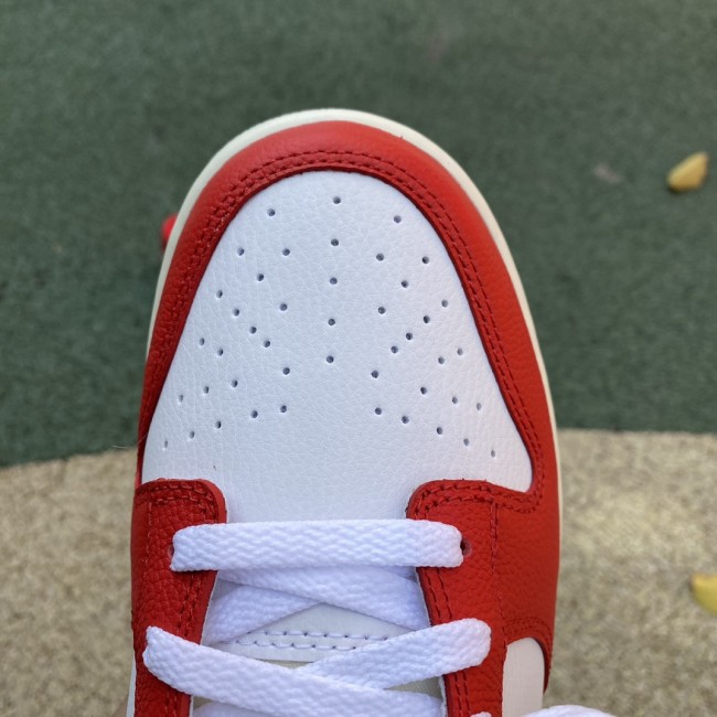 Nike Dunk Low Chicago Split