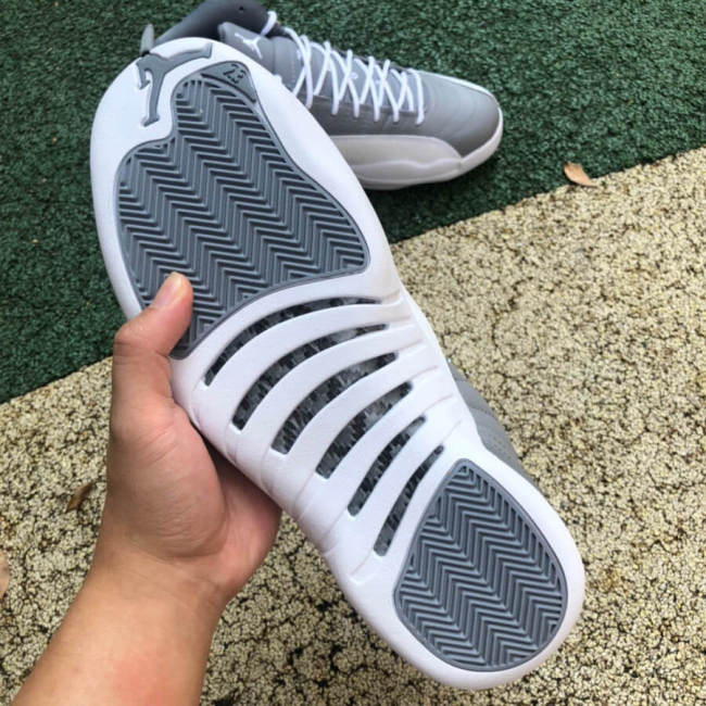 Air Jordan 12 Retro Stealth