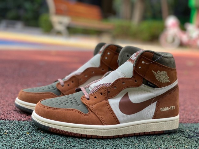 Air Jordan 1 Retro High Element Gore