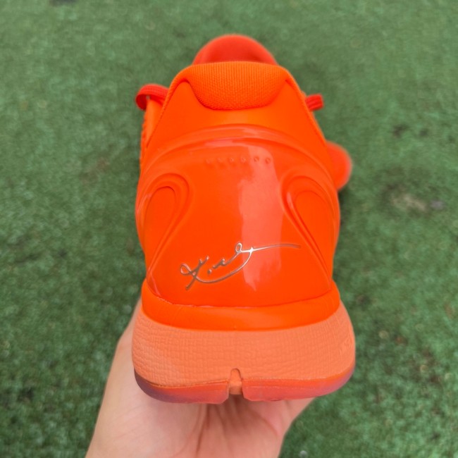 Nike Kobe 6 Protro WNBA