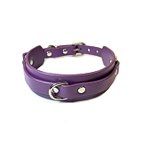 シンプルで魅惑的なパープルSM拘束首輪 リード付き