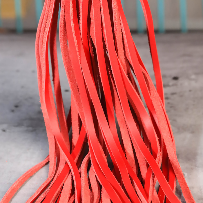 シンプル赤色本革お仕置きバラ鞭
