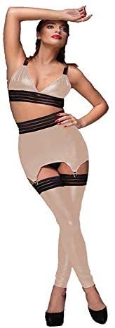 Plus Size Lady V-Neck Bra High Waist Briefs+Garter Shiny Stockings