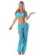 Sexy Belly Dance Costume Set Blue Transparent Halloween Cosplay Indian Princess Dress