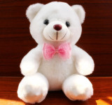 In Stock 22cm Soft Night Glow Companion Doll Teddy Bear Plush Toy Light Up Led Teddy Bear