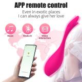 Best App-Controlled Vibrator for Women