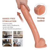 15.5 Inch Long Realistic PVC Suction Cup Dildo
