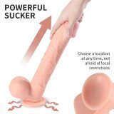 13 Inch Long Realistic PVC Suction Cup Dildo