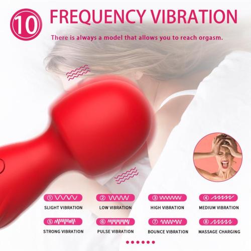 10 Sucking and Vibration Wand Vibrator