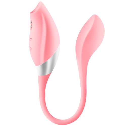2 IN 1 Clitoral Sucking Vibrator With Heated Vibrating Egg