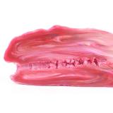 Fantasy Dragon Head Shaped Male Stroker Tight Anus Pussy Toy