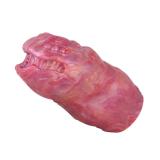 Fantasy Dragon Head Shaped Male Stroker Tight Anus Pussy Toy