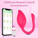 APP and Remote Control 9 Powerful Vibration Egg Vibrator