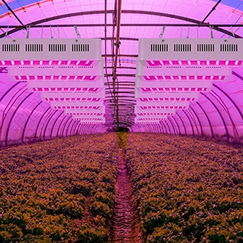 Roleadro Grow Light, 1000W LED Grow Light Full Spectrum Galaxyhydro Series Plant Light for Indoor Plants with IR for Greenhouse, Hydroponics, Seedlings, Veg and Flower