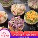 【食品級不鏽鋼】蛋糕裱花嘴 多種款式可以擠出上百種花型 輕鬆做出各種漂亮的蛋糕