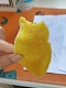 芒果乾買一送一，最低至166 台南園主林瑞珍和李順序夫婦因疫情積壓，通過電視臺低價回饋台灣同胞~